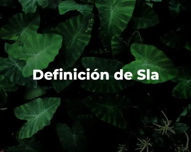 Definición de Sla