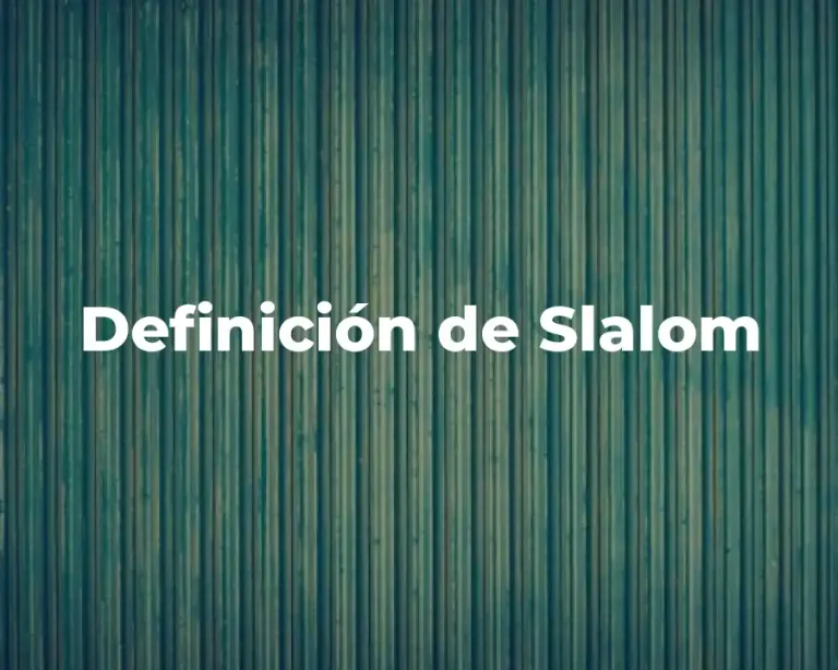 Definición de Slalom