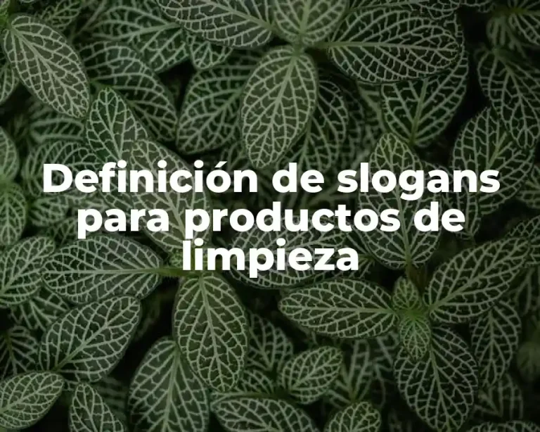 Definición de slogans para productos de limpieza