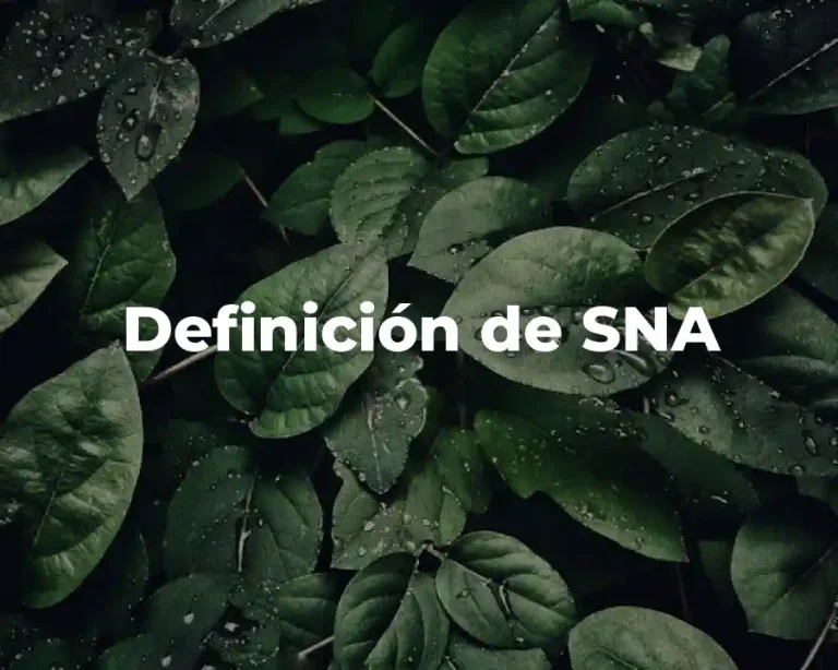 Definición de SNA
