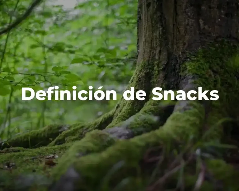 Definición de Snacks