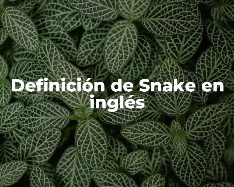 Definición de Snake en inglés