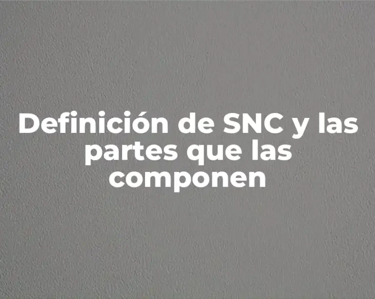 Definición de SNC y las partes que las componen