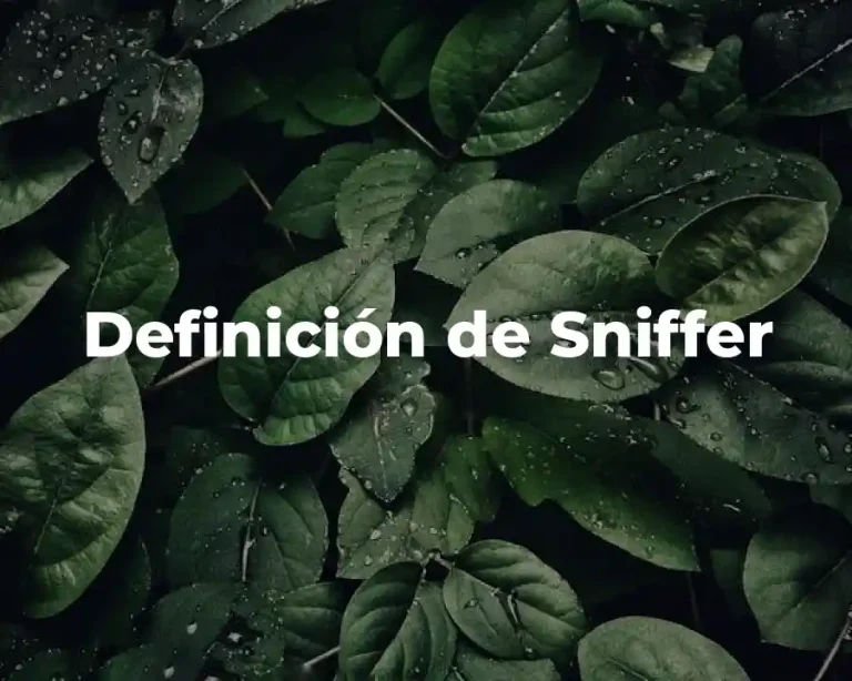 Definición de Sniffer