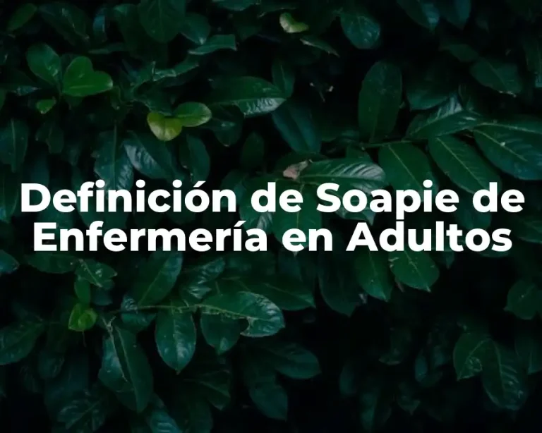 Definición de Soapie de Enfermería en Adultos