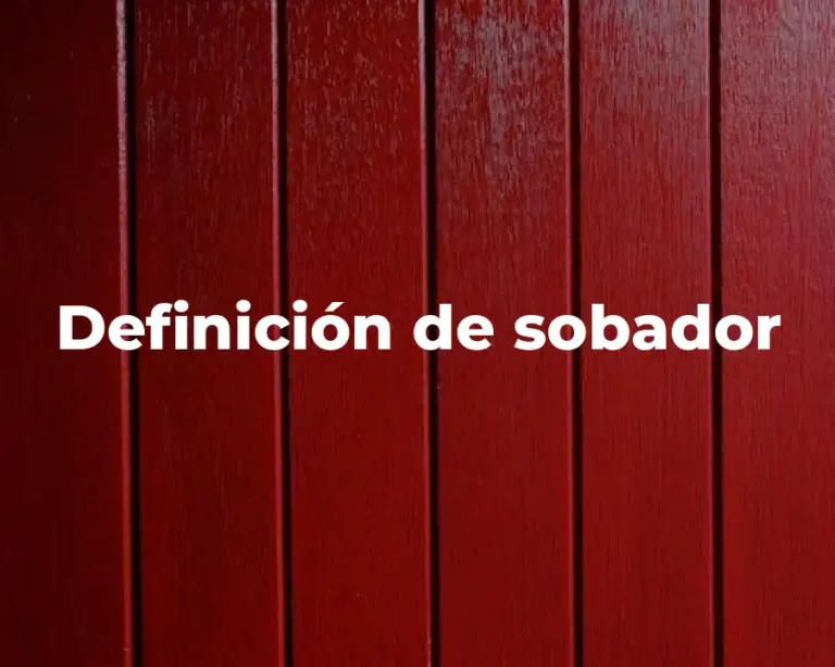 Definición de sobador