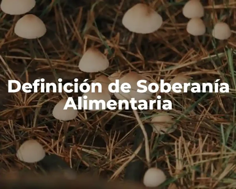 Definición de Soberanía Alimentaria