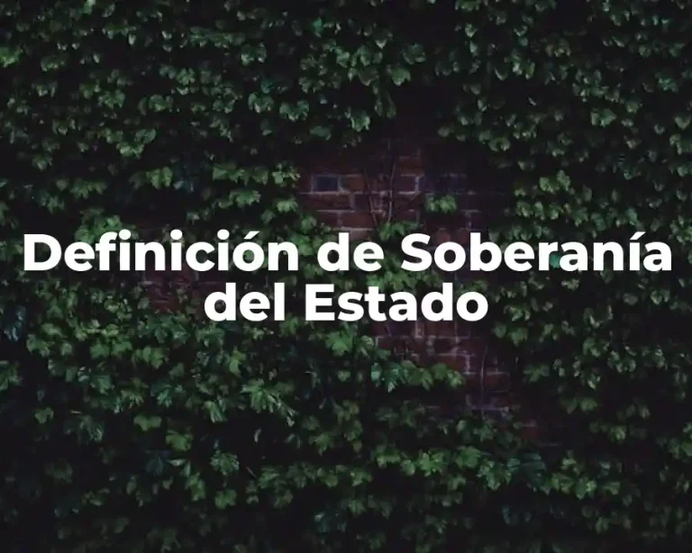 Definición de Soberanía del Estado