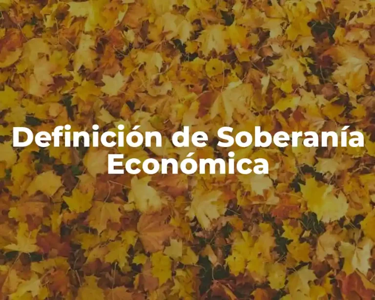 Definición de Soberanía Económica