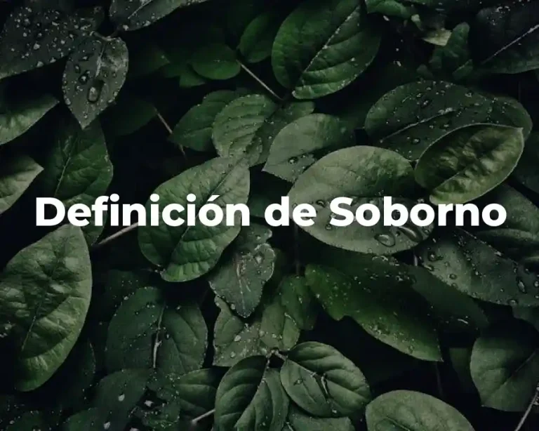 Definición de Soborno