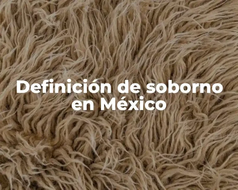 Definición de soborno en México