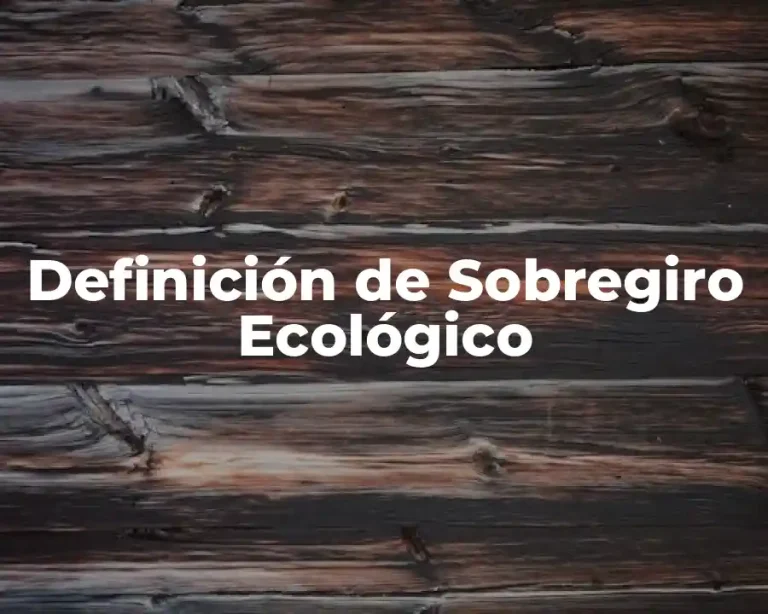 Definición de Sobregiro Ecológico