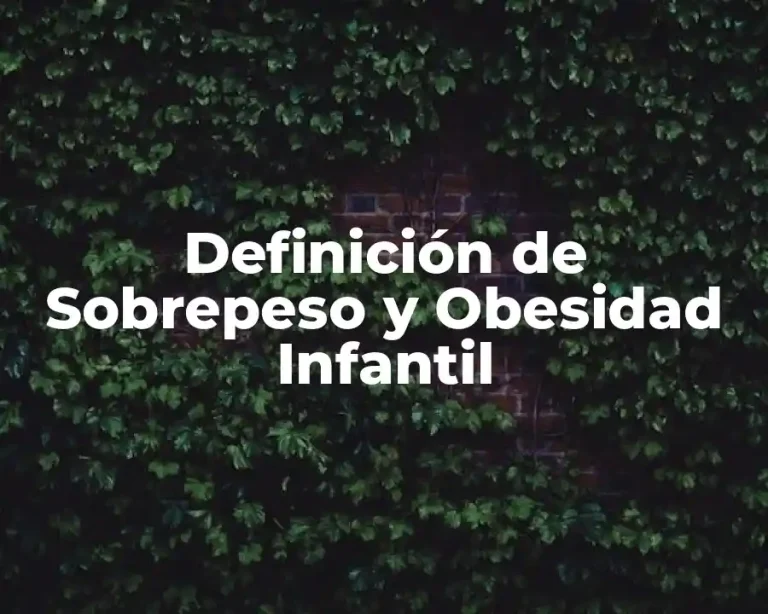 Definición de Sobrepeso y Obesidad Infantil