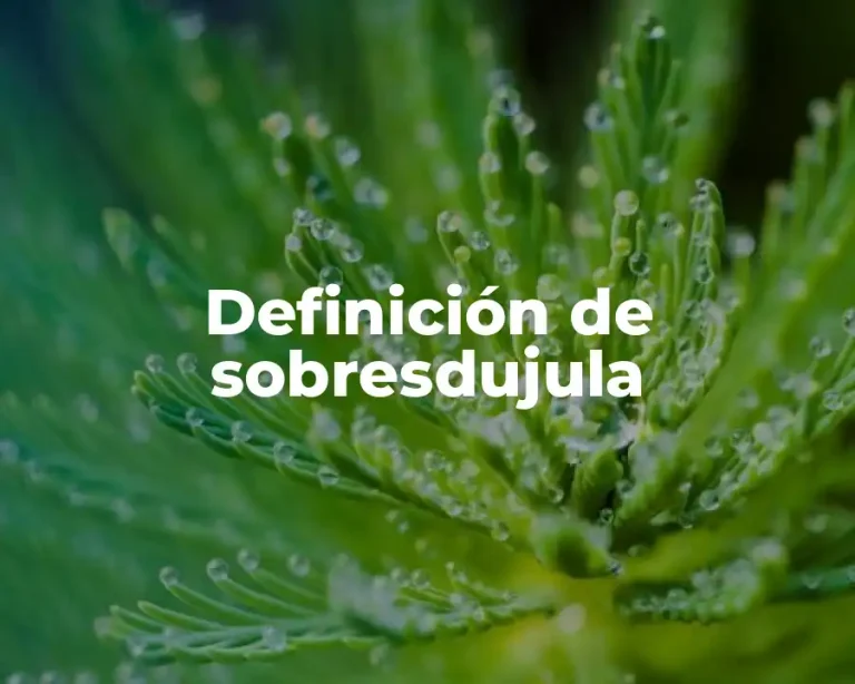 Definición de sobresdujula