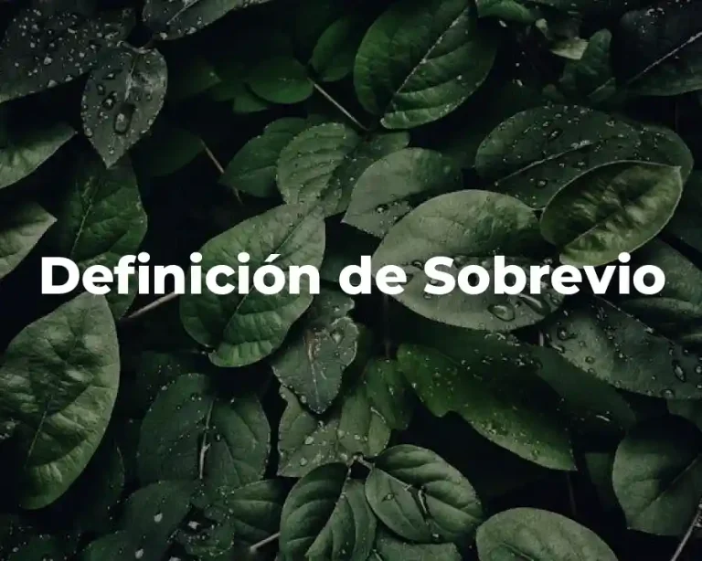 Definición de Sobrevio