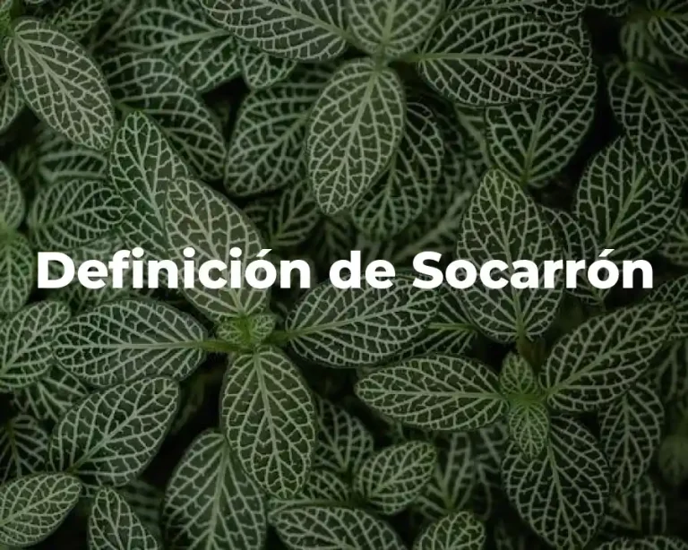 Definición de Socarrón