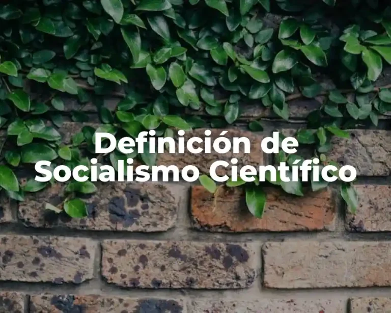 Definición de Socialismo Científico