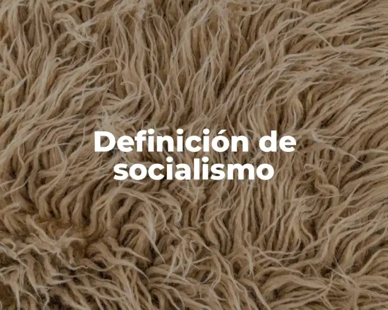 Definición de socialismo
