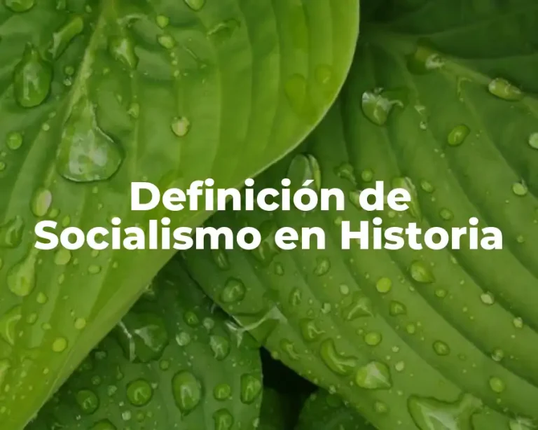 Definición de Socialismo en Historia