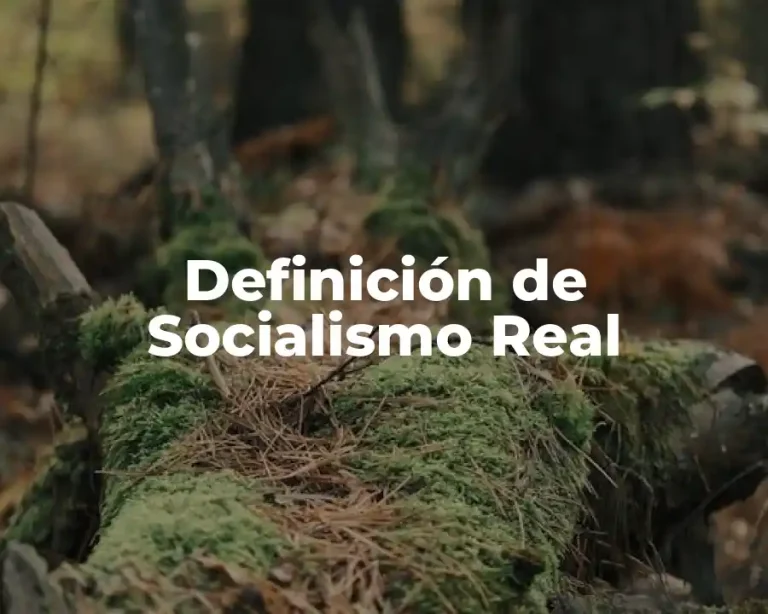 Definición de Socialismo Real