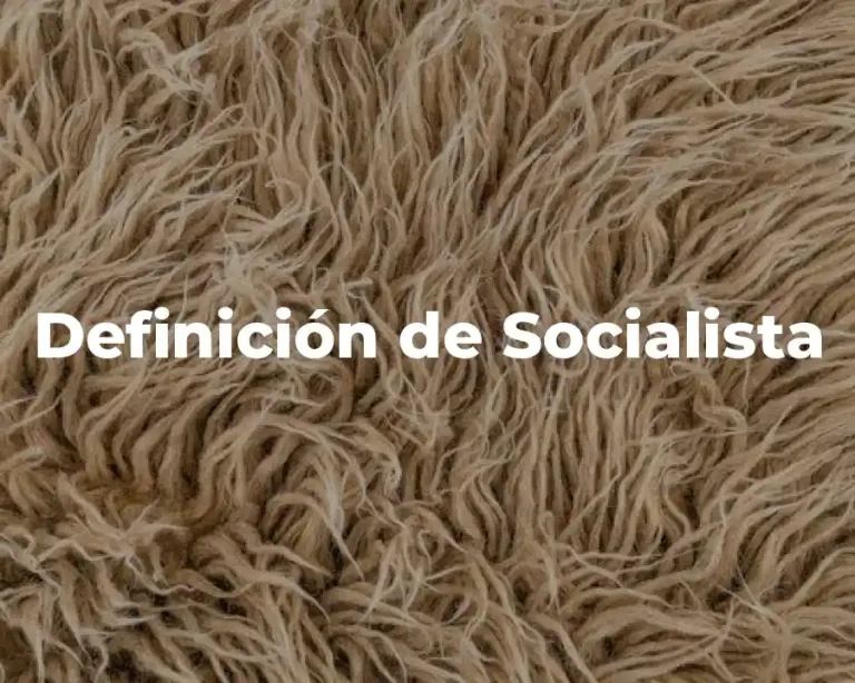 Definición de Socialista