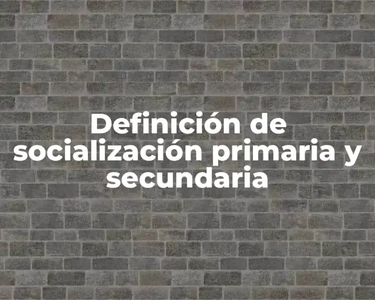 Definición de socialización primaria y secundaria