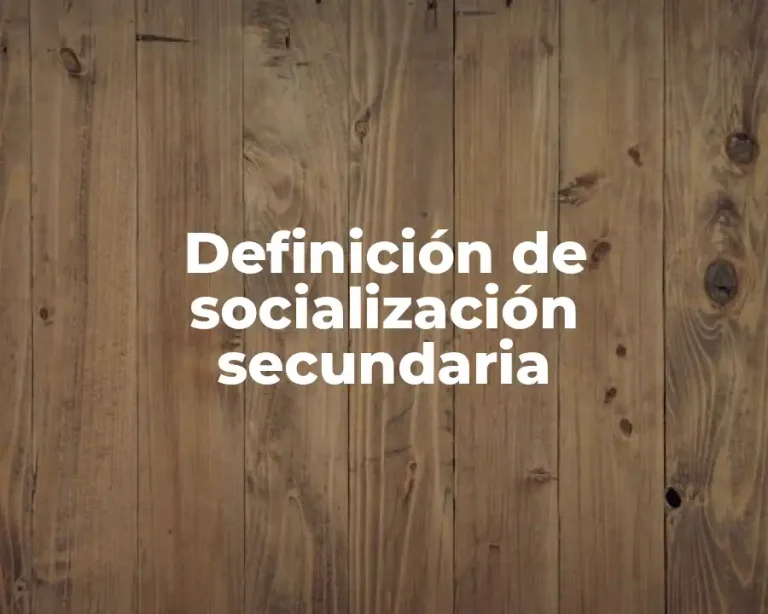 Definición de socialización secundaria