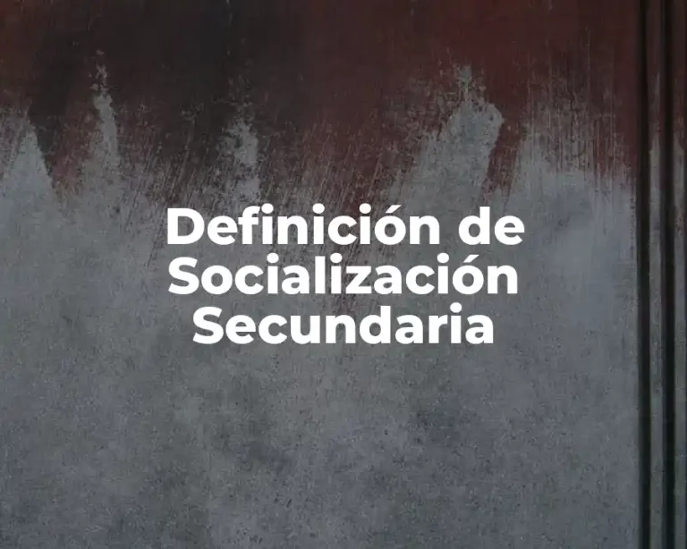 Definición de Socialización Secundaria