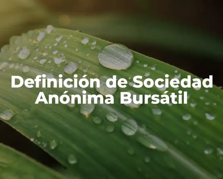 Definición de Sociedad Anónima Bursátil