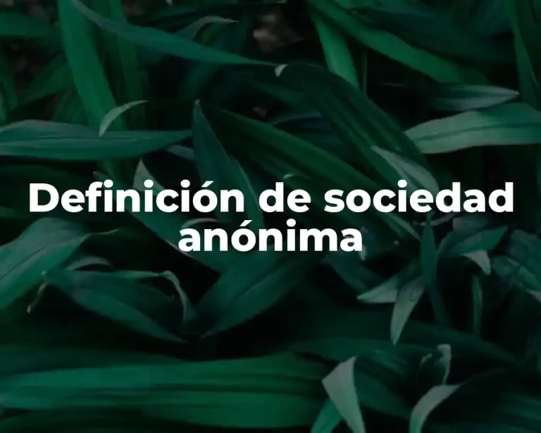 Definición de sociedad anónima