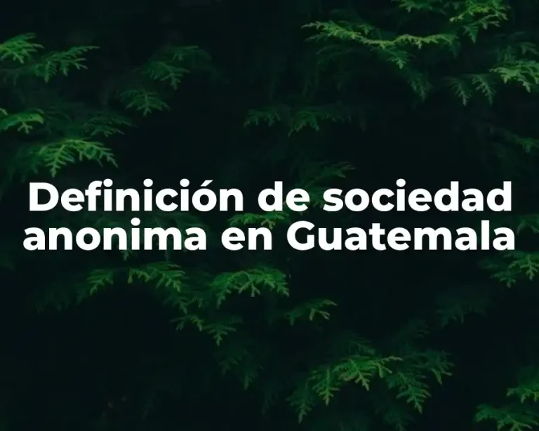 Definición de sociedad anonima en Guatemala