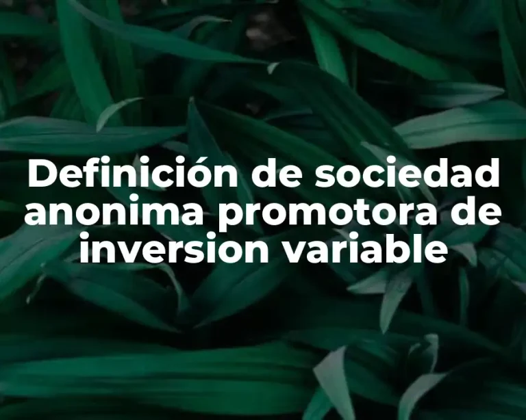 Definición de sociedad anonima promotora de inversion variable