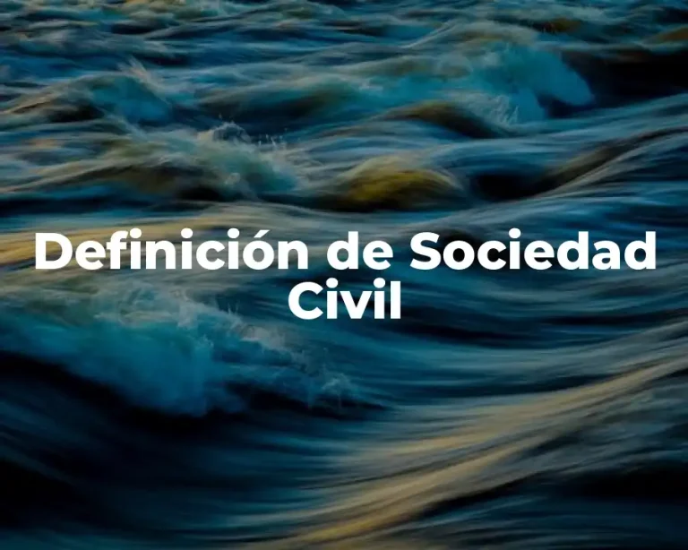 Definición de Sociedad Civil