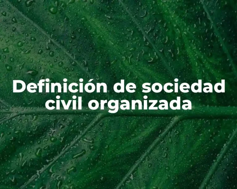 Definición de sociedad civil organizada