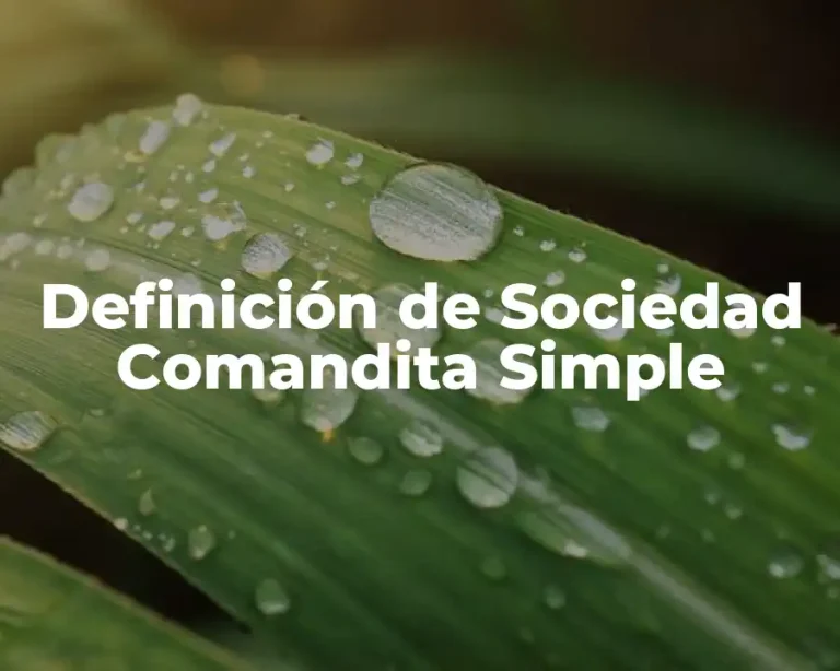 Definición de Sociedad Comandita Simple