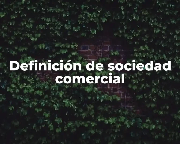 Definición de sociedad comercial