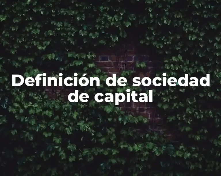 Definición de sociedad de capital