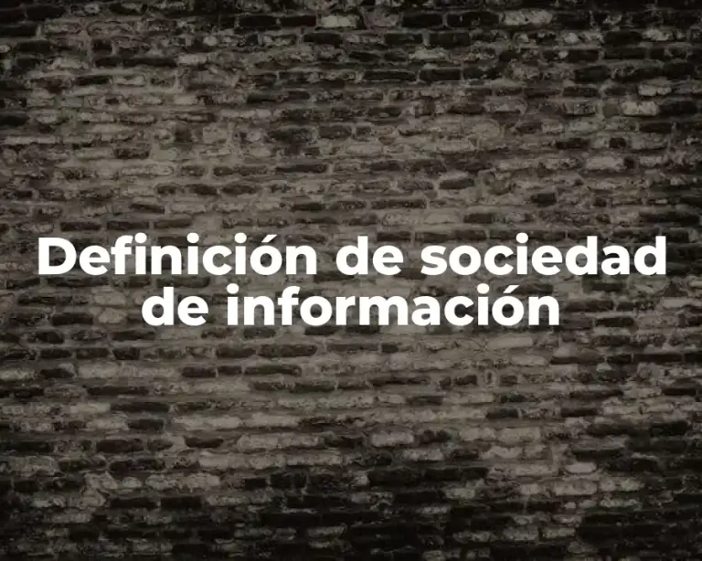 Definición de sociedad de información