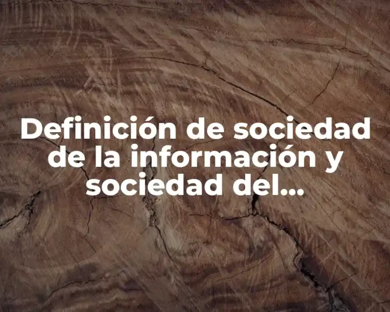 Definición de sociedad de la información y sociedad del conocimiento