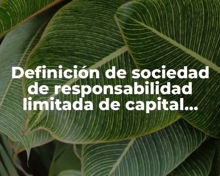 Definición de sociedad de responsabilidad limitada de capital variable