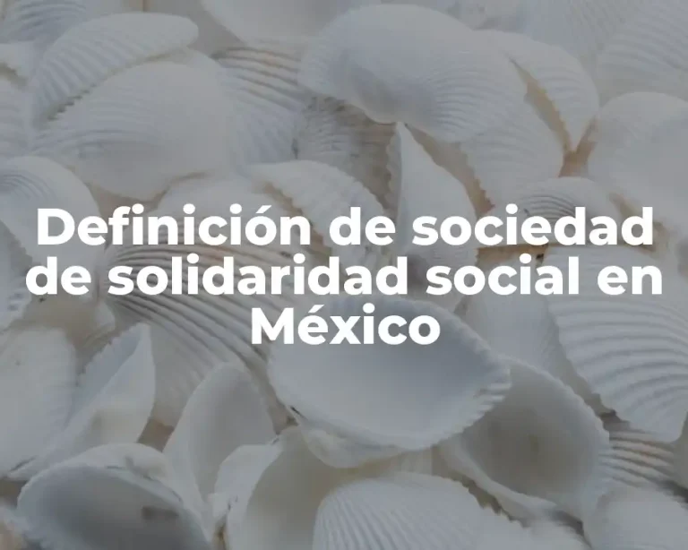 Definición de sociedad de solidaridad social en México