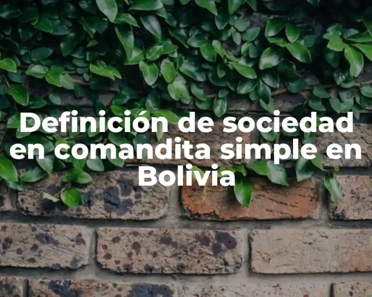 Definición de sociedad en comandita simple en Bolivia