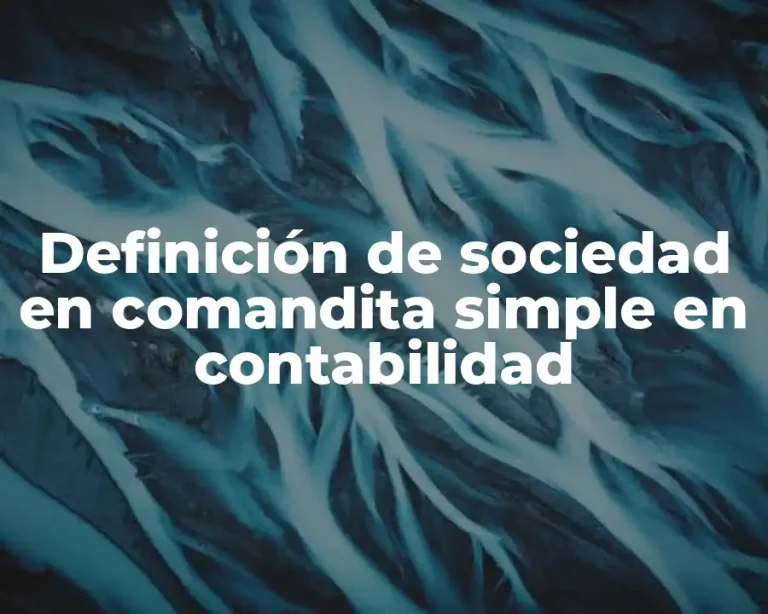Definición de sociedad en comandita simple en contabilidad