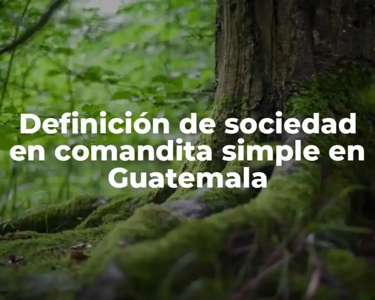 Definición de sociedad en comandita simple en Guatemala