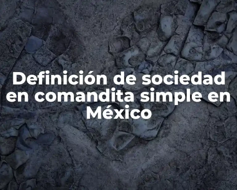 Definición de sociedad en comandita simple en México