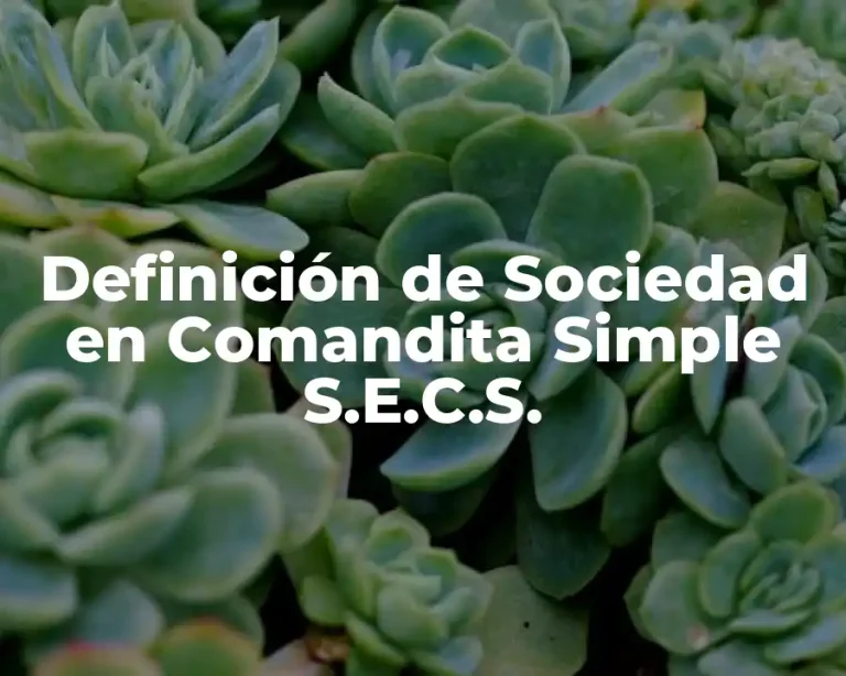 Definición de Sociedad en Comandita Simple S.E.C.S.