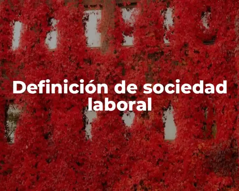 Definición de sociedad laboral
