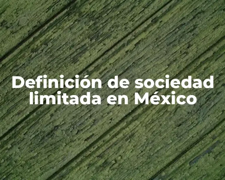 Definición de sociedad limitada en México