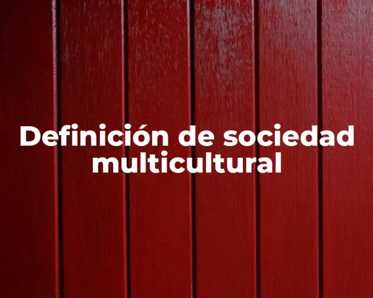 Definición de sociedad multicultural