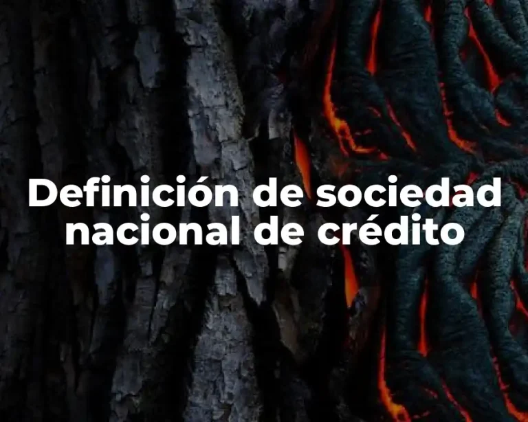 Definición de sociedad nacional de crédito